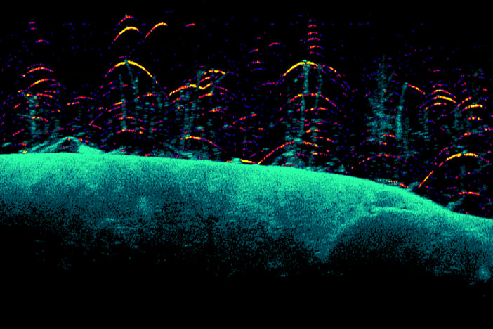 Lowrance Eagle DownScan Imaging